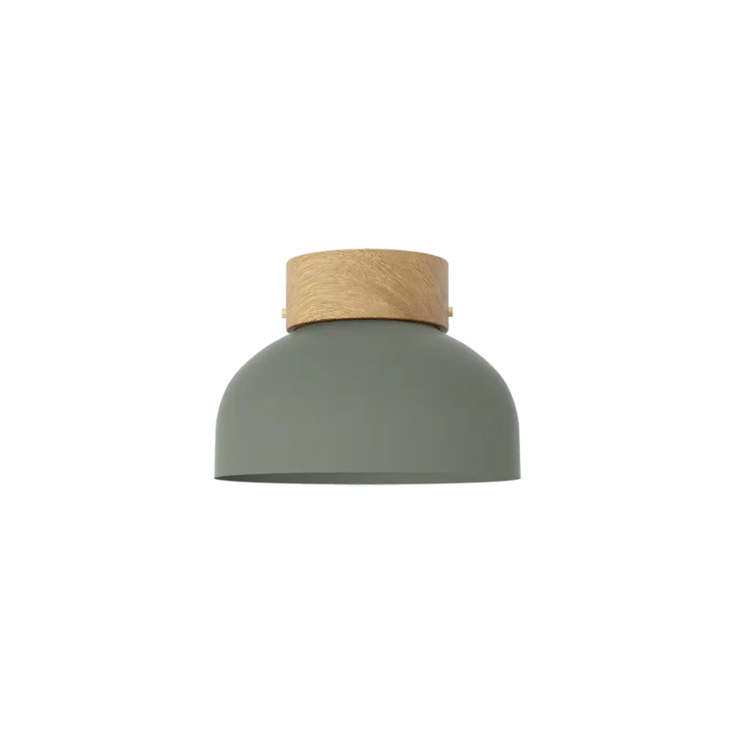 Nowość Robin Lampa sufitowa / plafon Reiko śr. 21 cm zielona