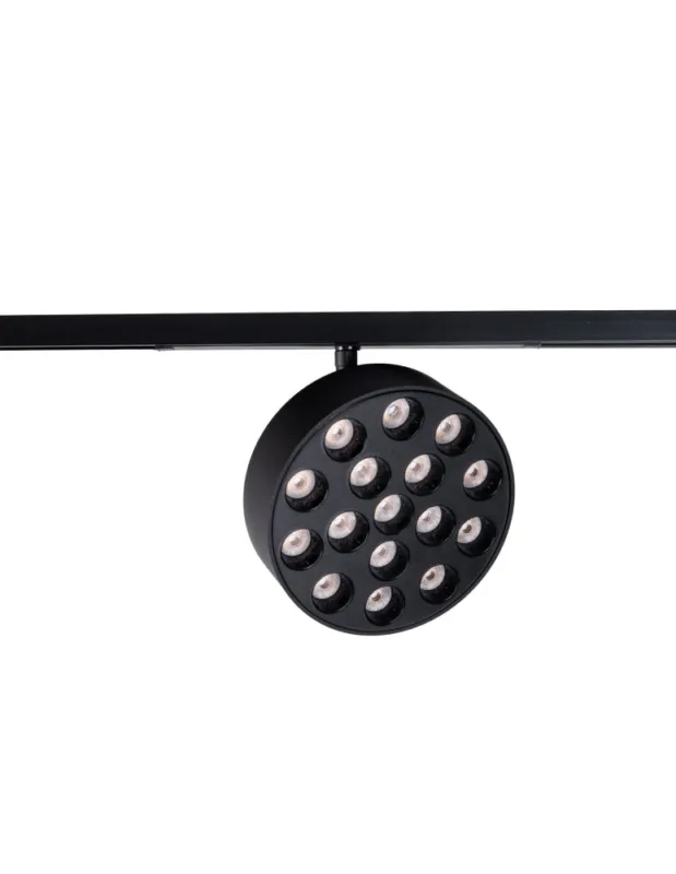 Maxlight Raster 12W Czarny Okrągły 2700-5000K Zigbee- Micro11 N0012Z Oferta limitowana