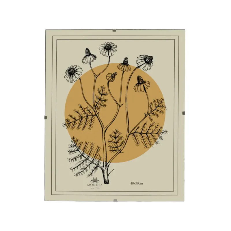 Antyrama ADI 40x50 cm Plexi - Sprawdź teraz