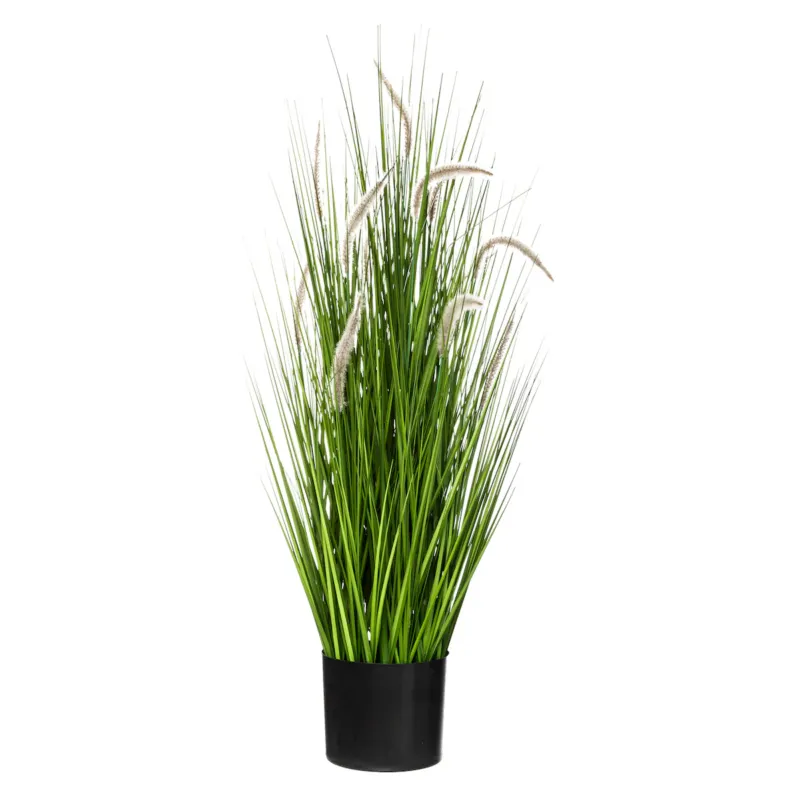 Bukiet kocimiętki w doniczce, wys. 100 cm - Najlepsza cena