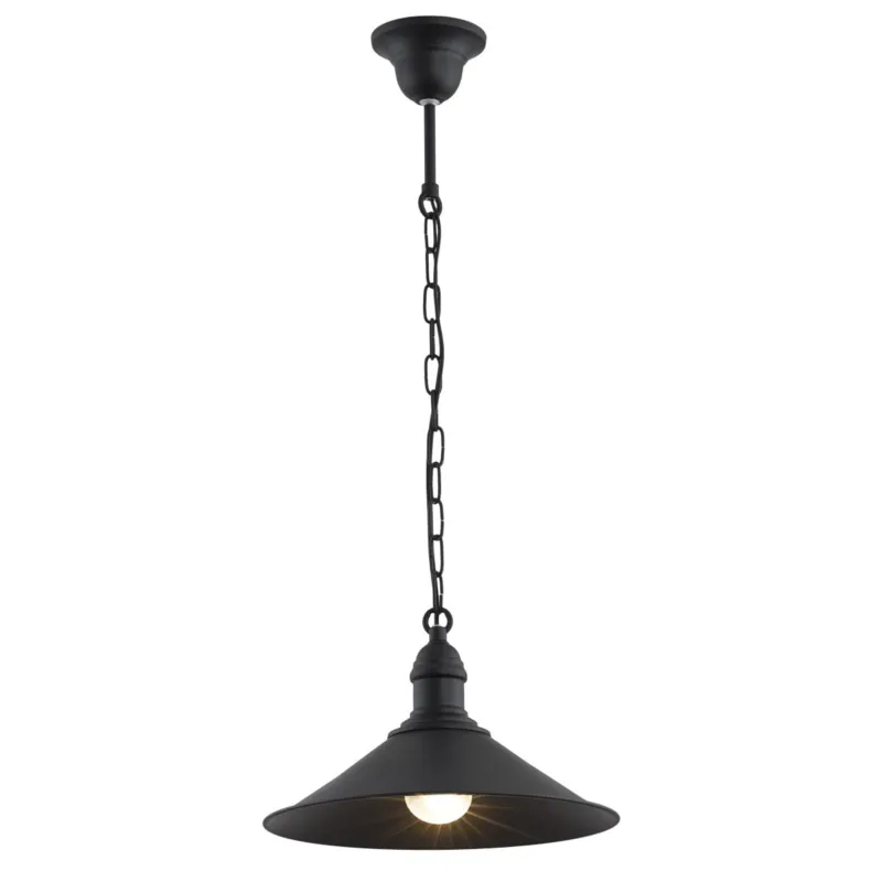 Lampa Wisząca Erba 631 Argon 1xE27 15W Stal Lakierowana, Czarny Najlepsza cena