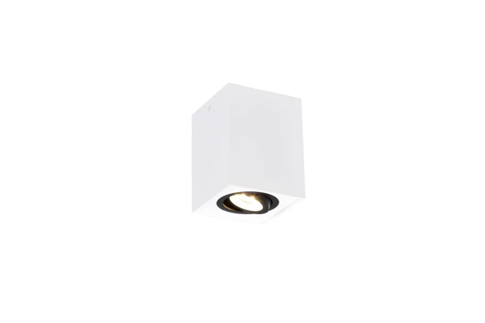 Bezpieczne zakupy Lampa sufitowa Biscuit czarny, biały GU10 613000134 - Trio