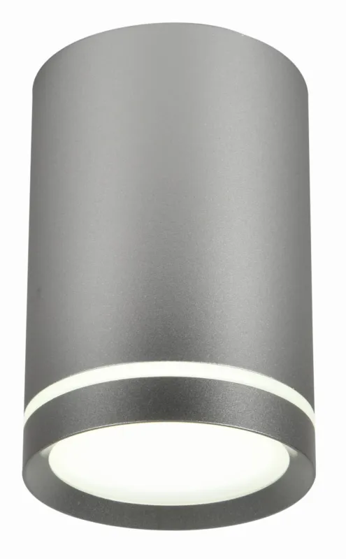 Sprawdź teraz Lampa sufitowa Candellux Tuba srebrna matowa 1×GU10