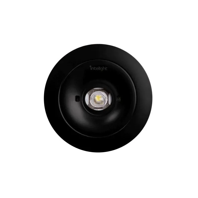 Bezpieczne zakupy Oprawa Awaryjna Podtynkowa Starlet Spot Round Sp 150 Nm 1H Mt Ip20 (Ip65 - Patrz Akcesoria) [Blk] / 83801