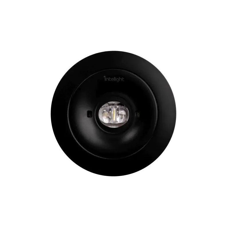 Zamów teraz Oprawa Awaryjna Podtynkowa Starlet Spot Round Sc 150 Nm 1H Mt Ip20 (Ip65 - Patrz Akcesoria) [Blk] / 83601