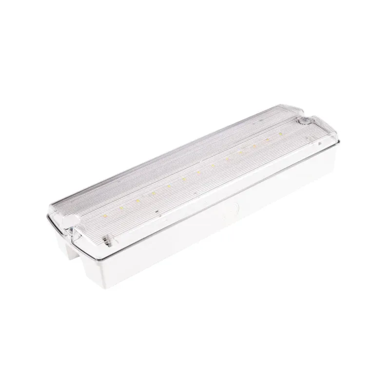 Premium Oprawa Ewakuacyjna/Awaryjna Orion Ii 250 M 3H Ct Ip65 + (Or7, Or8) / 91445