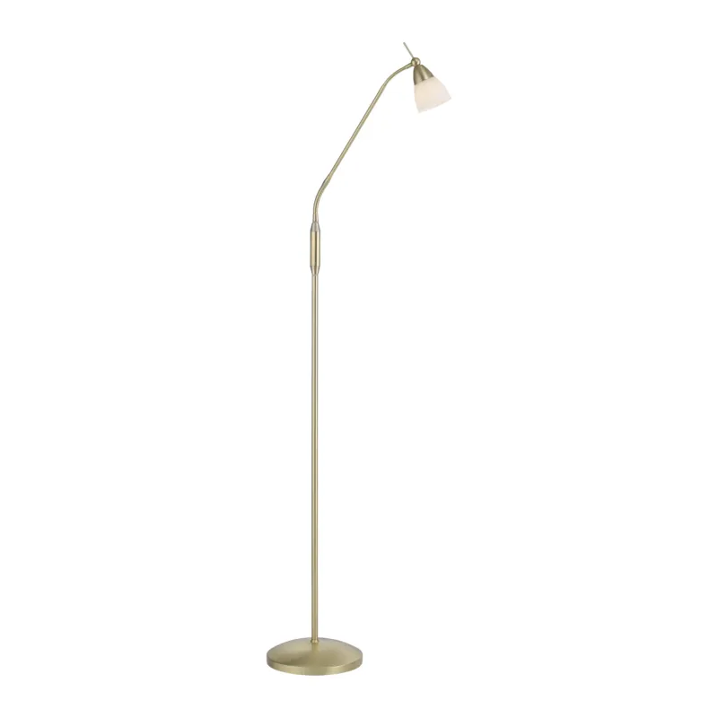 Dostępne od ręki Lampa podłogowa PINO 400-60 - Paul Neuhaus