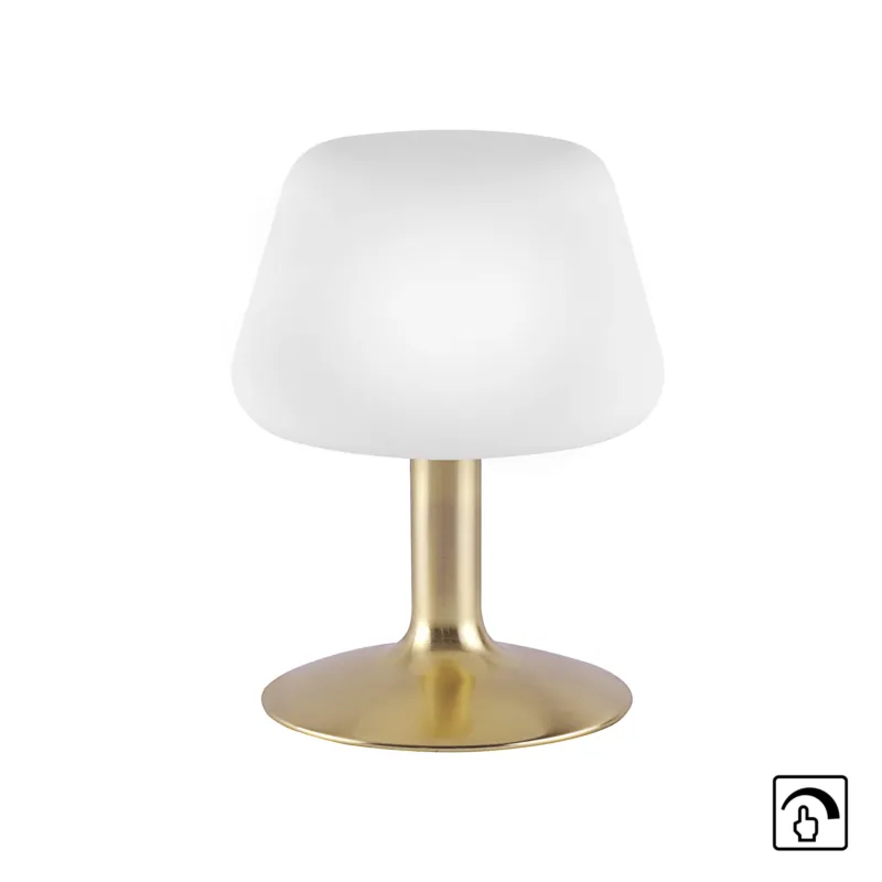 Lampa stołowa TILL 4078-60 - Paul Neuhaus Najlepsza cena