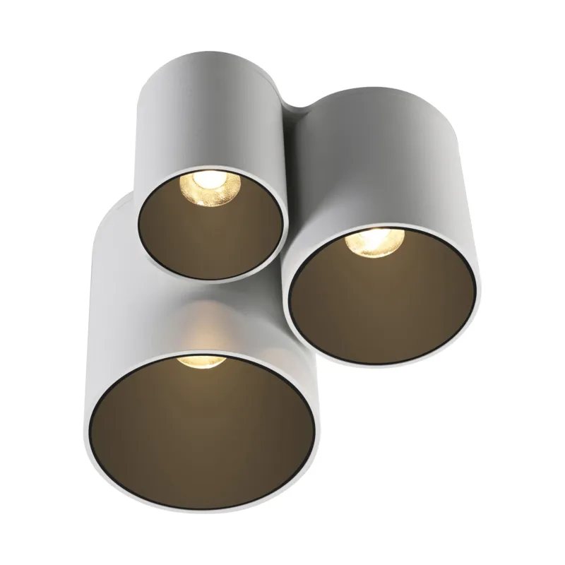Lampa sufitowa punktowa współpracuje z ściemniaczem PURE POINT 6750-16 - Paul Neuhaus Wybór klientów