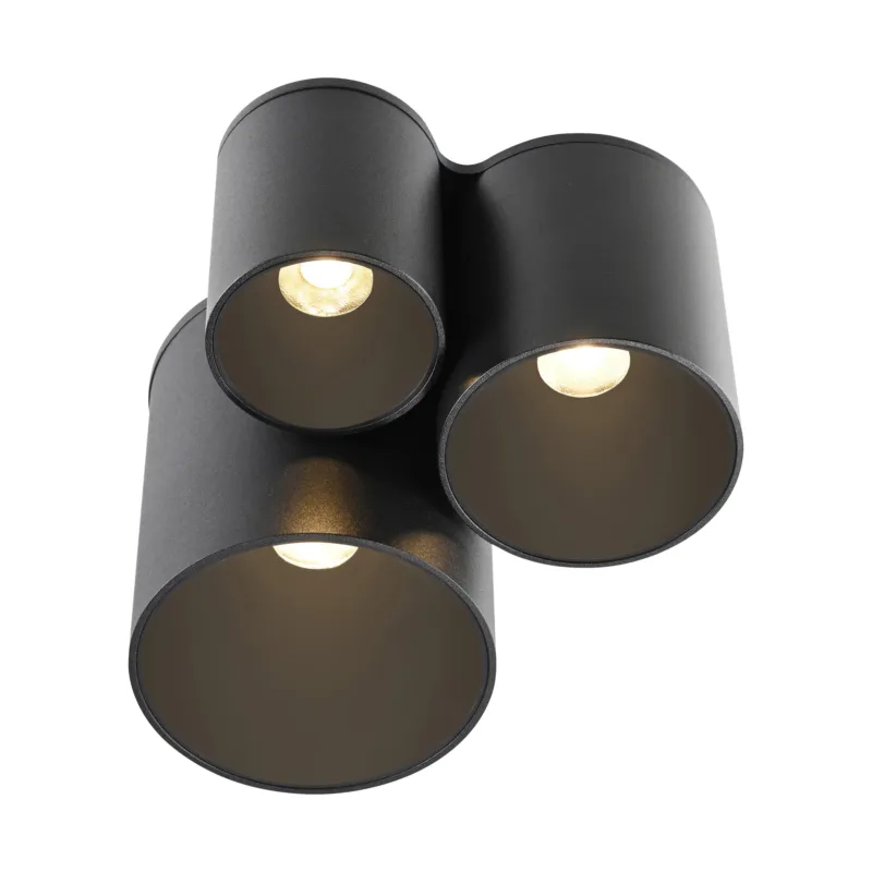 Ekspresowa dostawa Lampa sufitowa punktowa współpracuje z ściemniaczem PURE POINT 6750-18 - Paul Neuhaus