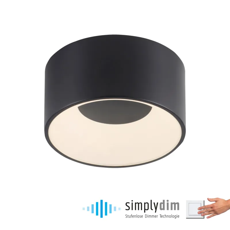 Lampa sufitowa TANIKA 14325-18 - Paul Neuhaus Nowość