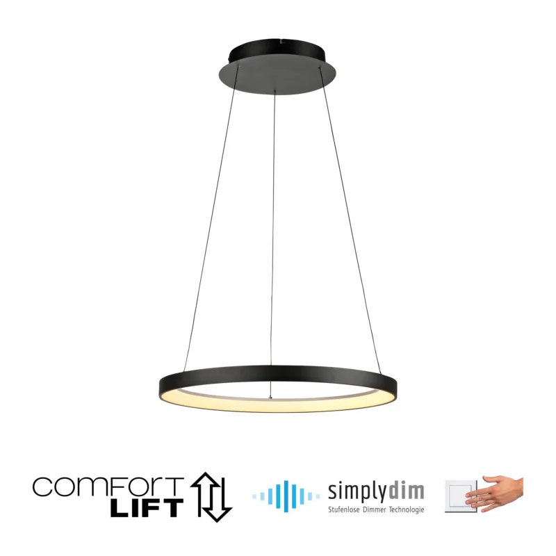 Lampa wisząca HOOP 2851-18 - Paul Neuhaus Oferta limitowana