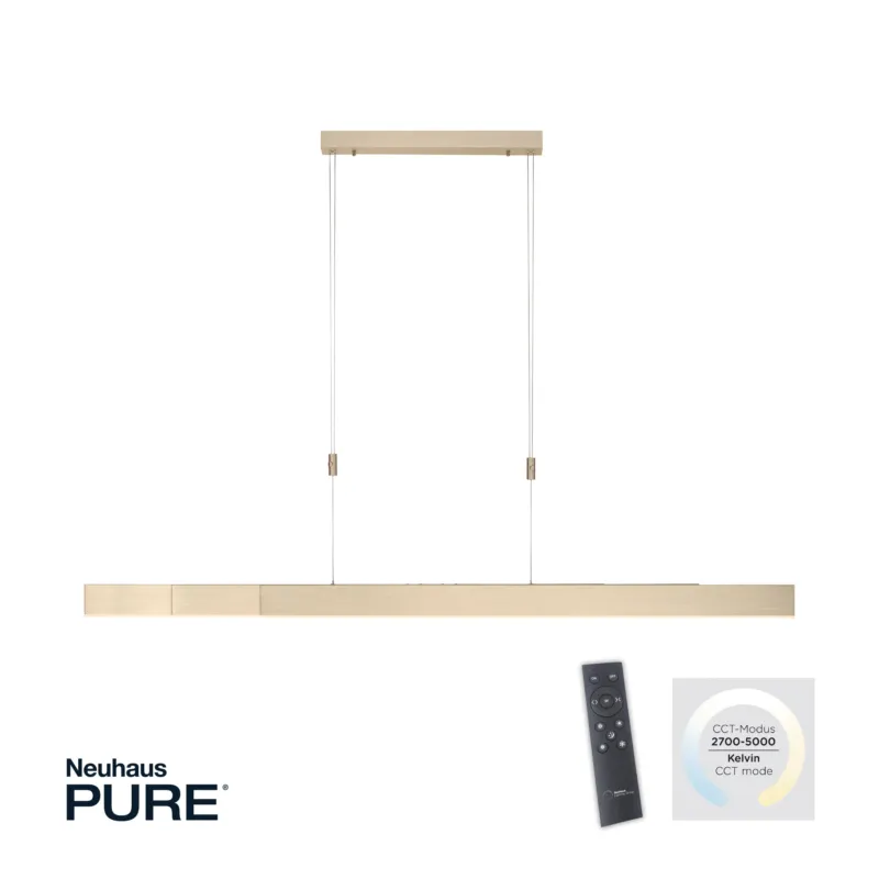 Lampa wisząca na pilota z funkcją windy PURE-MOTO 2525-60 - Paul Neuhaus Niska cena