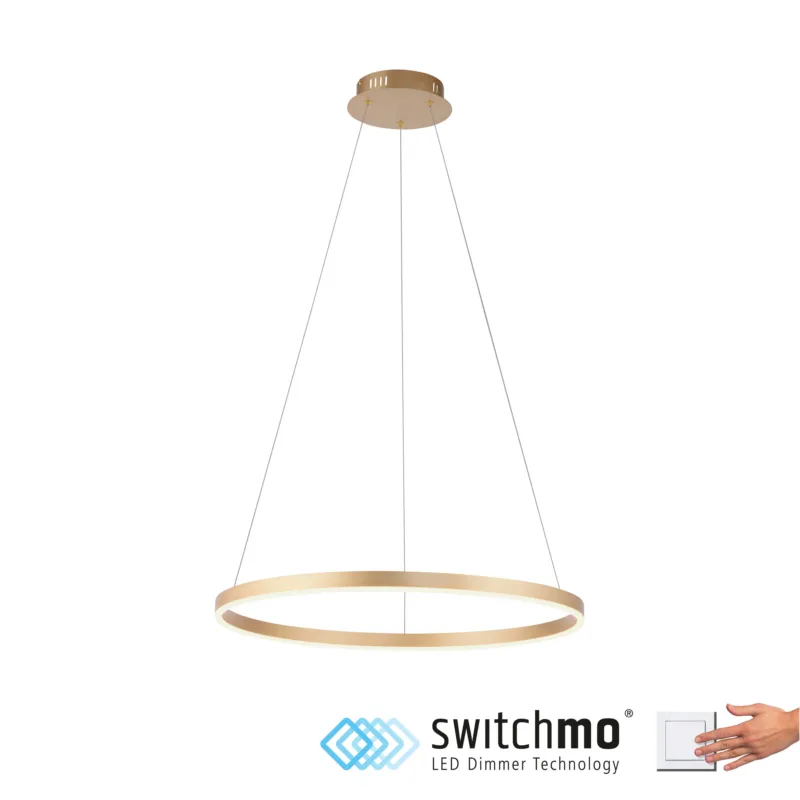 Tani Lampa wisząca RITUS 15394-60 - Paul Neuhaus