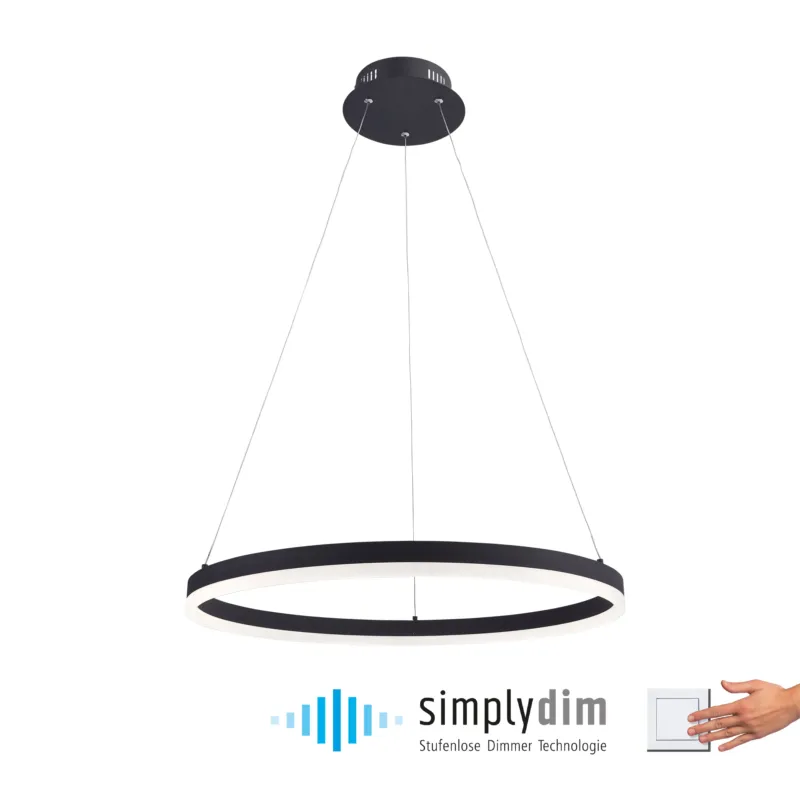 Do wyczerpania zapasów Lampa wisząca TITUS 60 antracyt 2382-13 - Paul Neuhaus