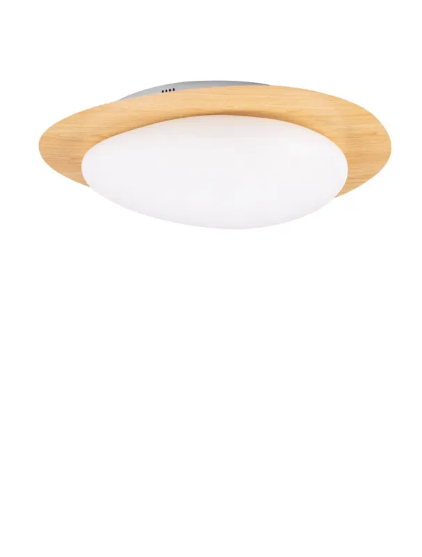 Ostatnia szansa Lampa sufitowa ISIDRO LE44417 - Luces Exclusivas