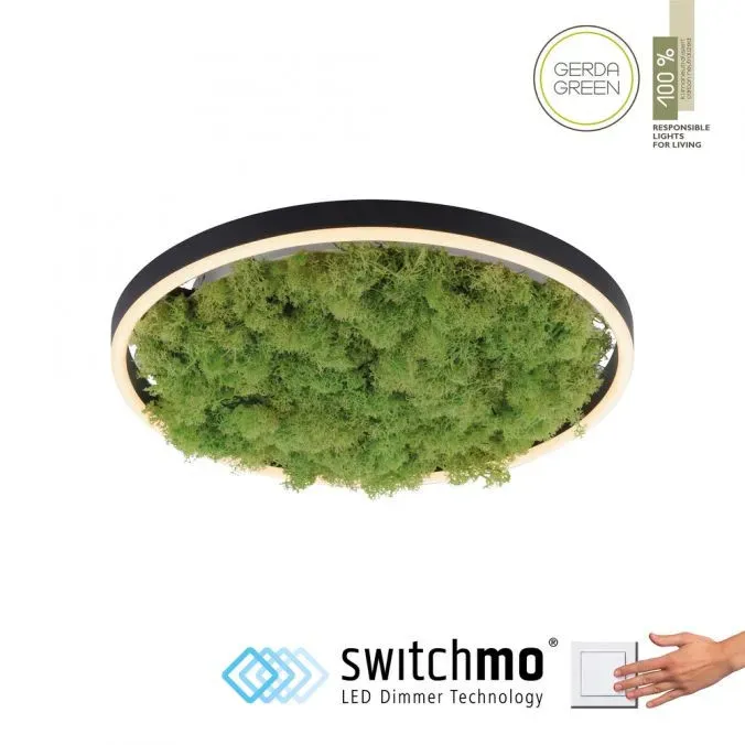 Lampa sufitowa GREEN RITUS 15391-66 - Paul Neuhaus Nie przegap