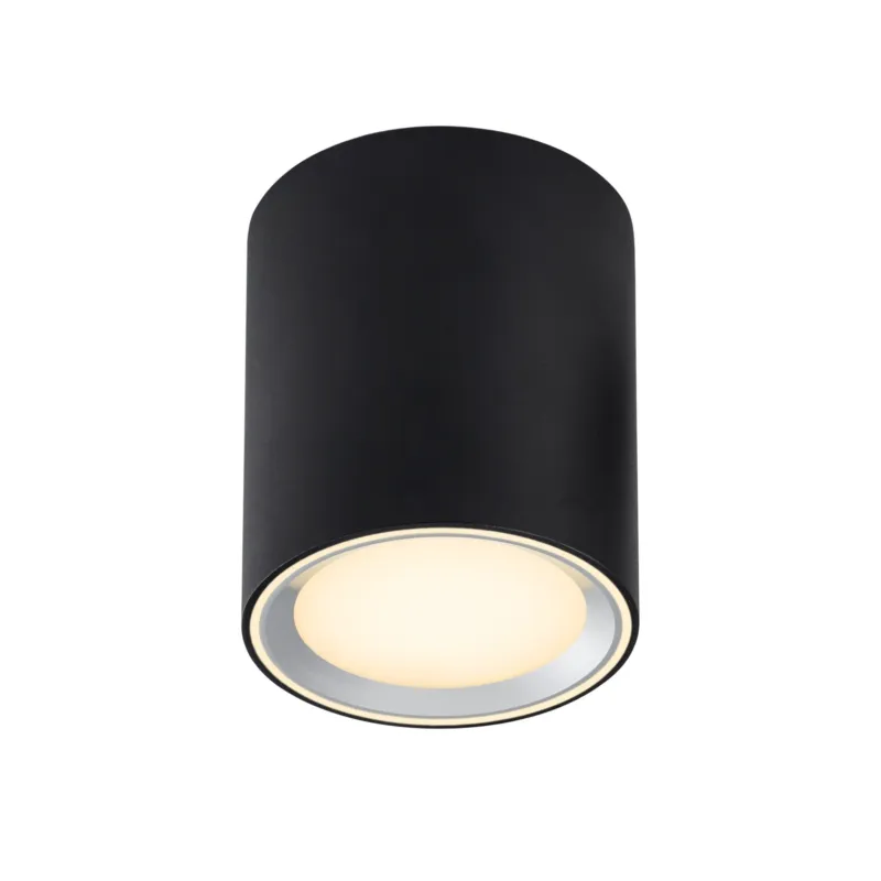 Bezpieczne zakupy Oprawa sufitowa FALLON LONG NO47550103 – Nordlux