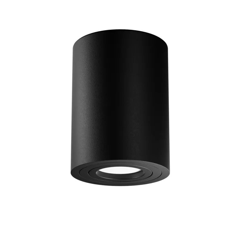 Lampa sufitowa TUBA ALFA C016CL-01B - Maytoni Ekspresowa dostawa
