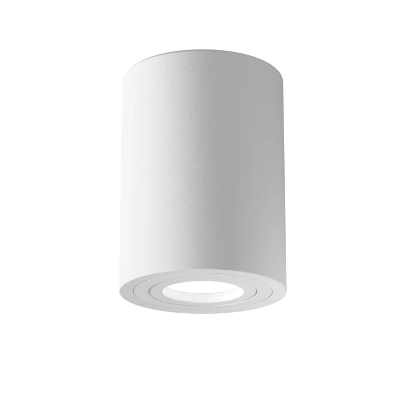 Lampa sufitowa TUBA ALFA C016CL-01W - Maytoni Do wyczerpania zapasów