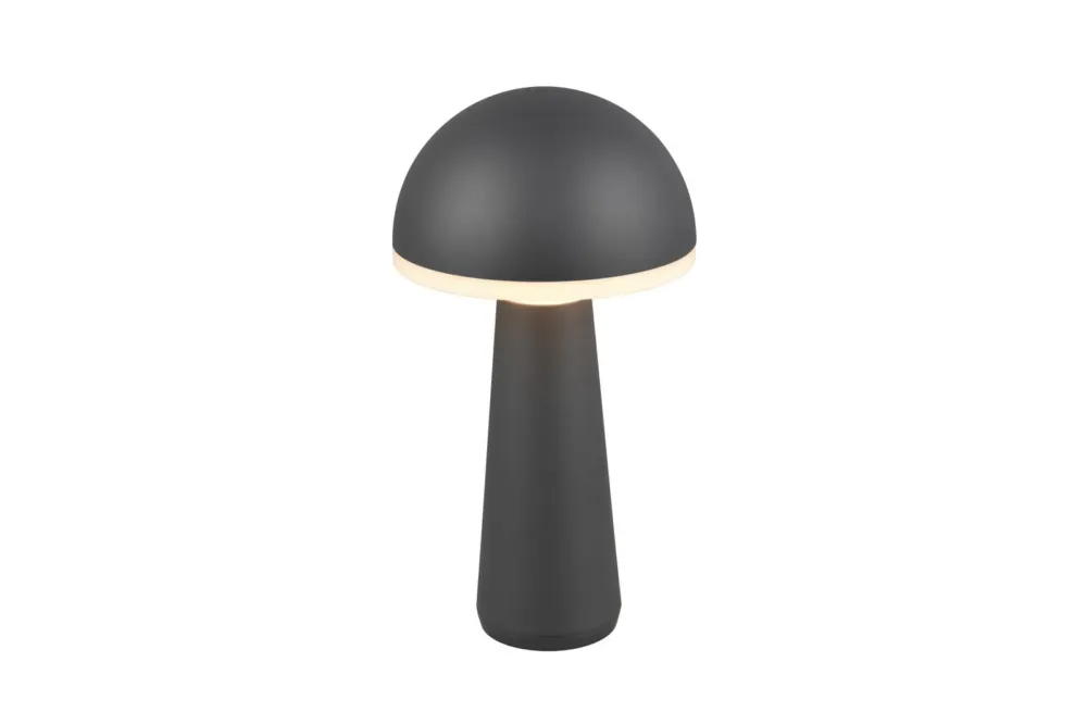 Przenośna lampka zewnętrzna LED 2W IP54 CCT + ściemniacz FUNGO czarna R57716142 - RL Tylko dziś