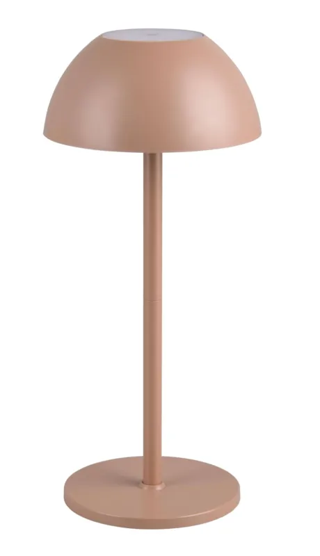 Promocja Przenośna lampa stojąca na zewnątrz RICARDO kawowy R54106165 - RL