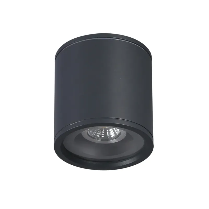 Lampa sufitowa zewnętrzna czarna aluminiowa IP54 OPN-39039-BK z serii TORMI - Lampy Italux Ostatnie sztuki