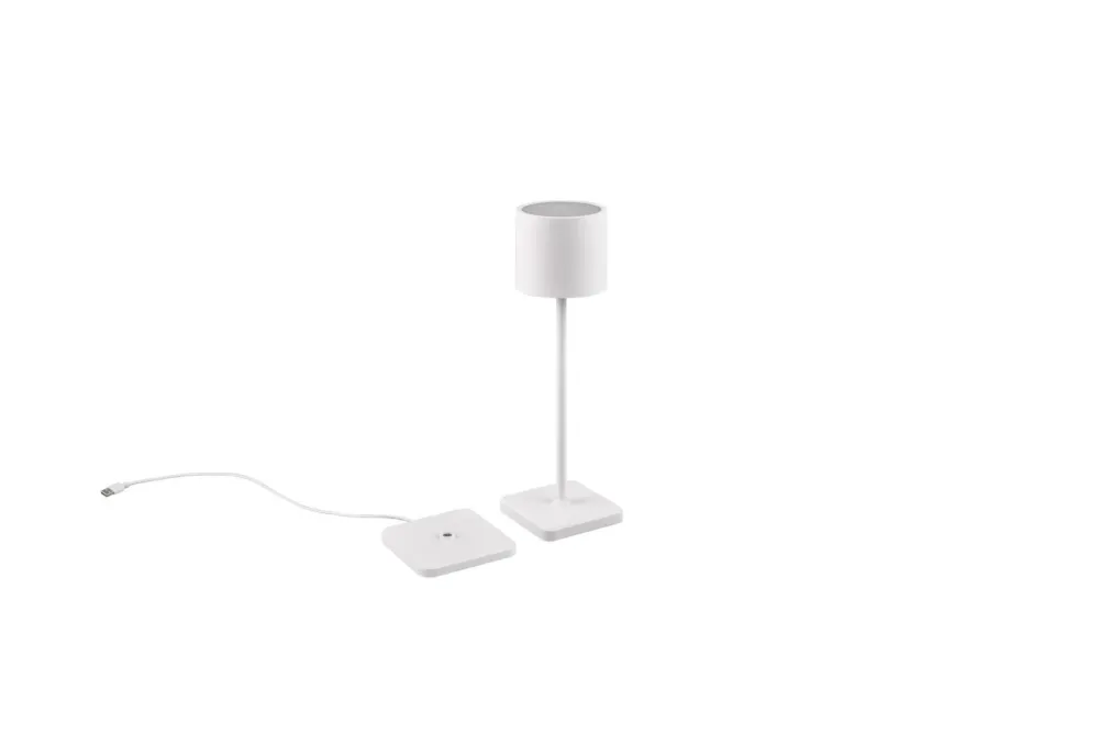 Lampa zewnętrzna biała + stacja ładująca CCT IP54 FERNANDEZ R54096131 - RL Ostatnie sztuki