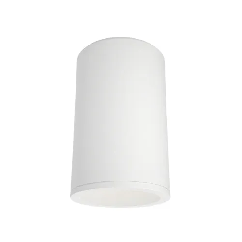 Sprawdź teraz Lampa Sufitowa Punktowa Maytoni C029CL-01-S-W Zoom GU10 6,5cm x 10,5cm biały bez regulacji